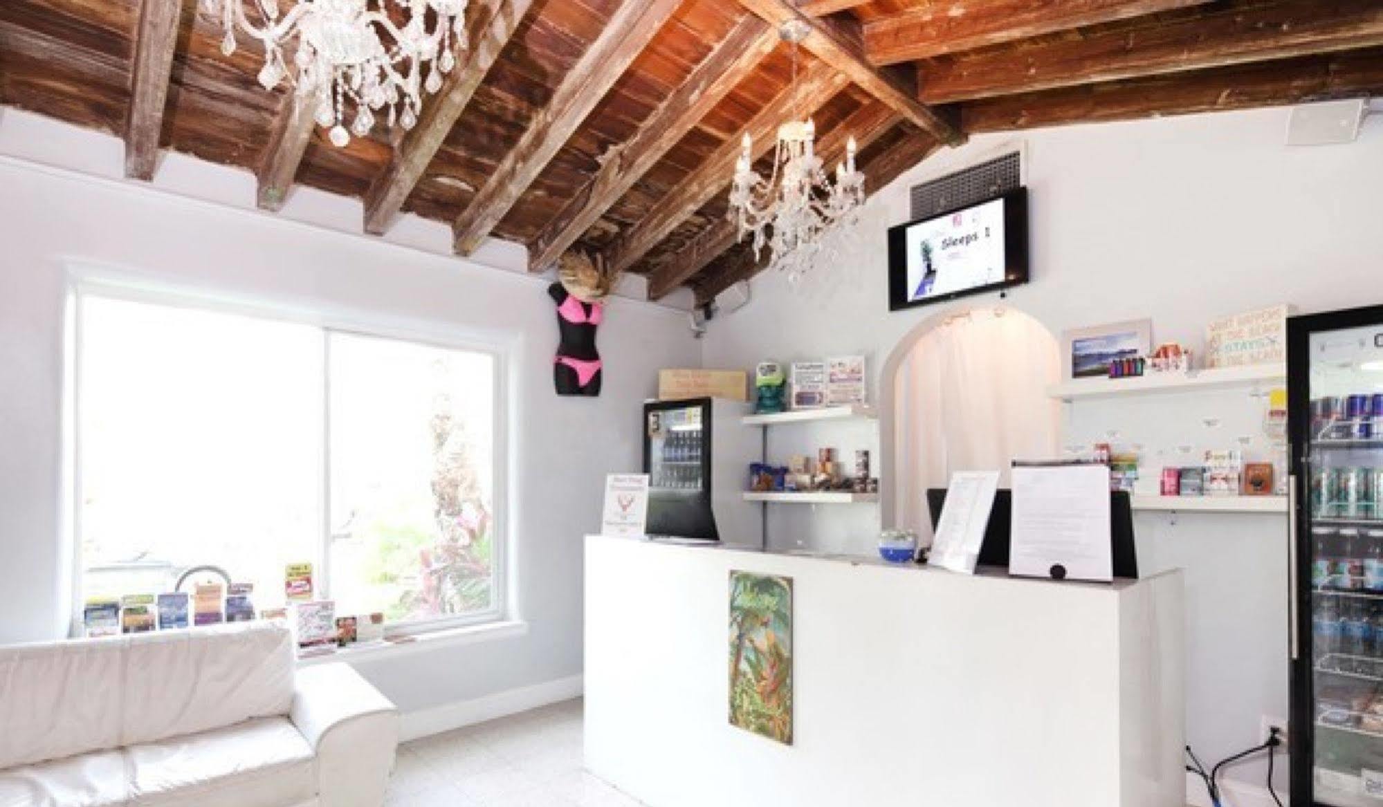 Bikini Lodge Miami Beach Dış mekan fotoğraf